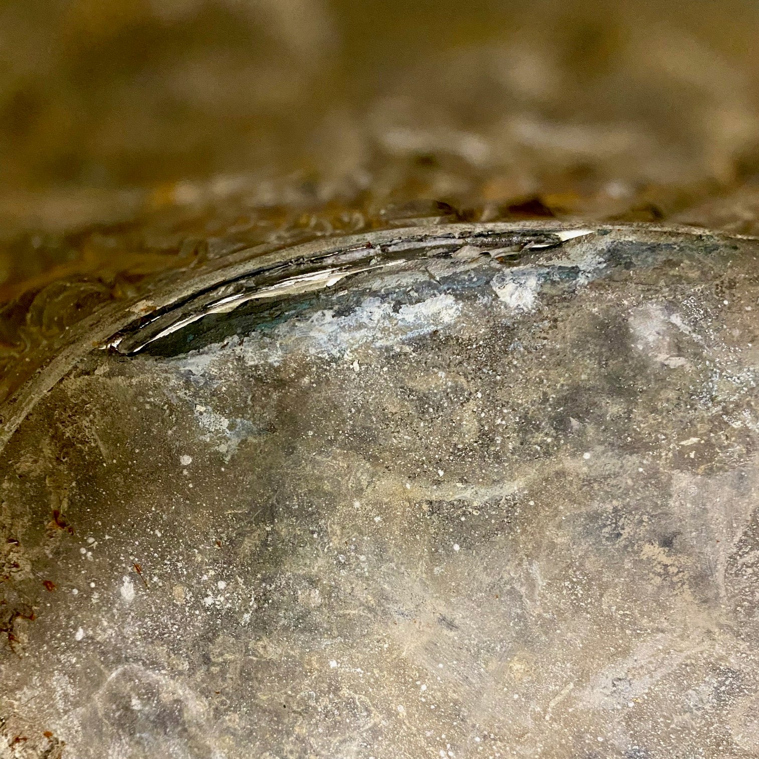 Stunning Antique Brass Planter with Floral Decoration