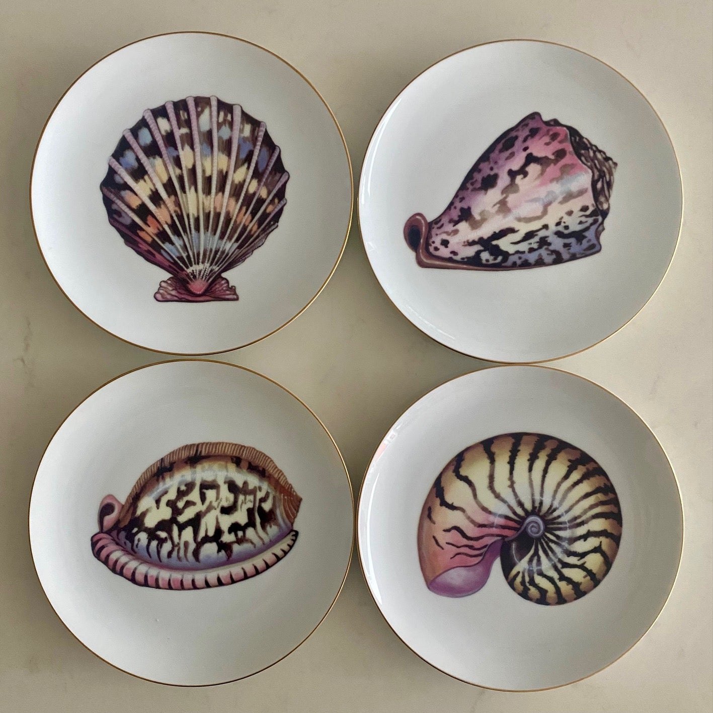Set 20 Fitz & Floyd Du Mer Seashell Pattern Porcelain Side Plates F183