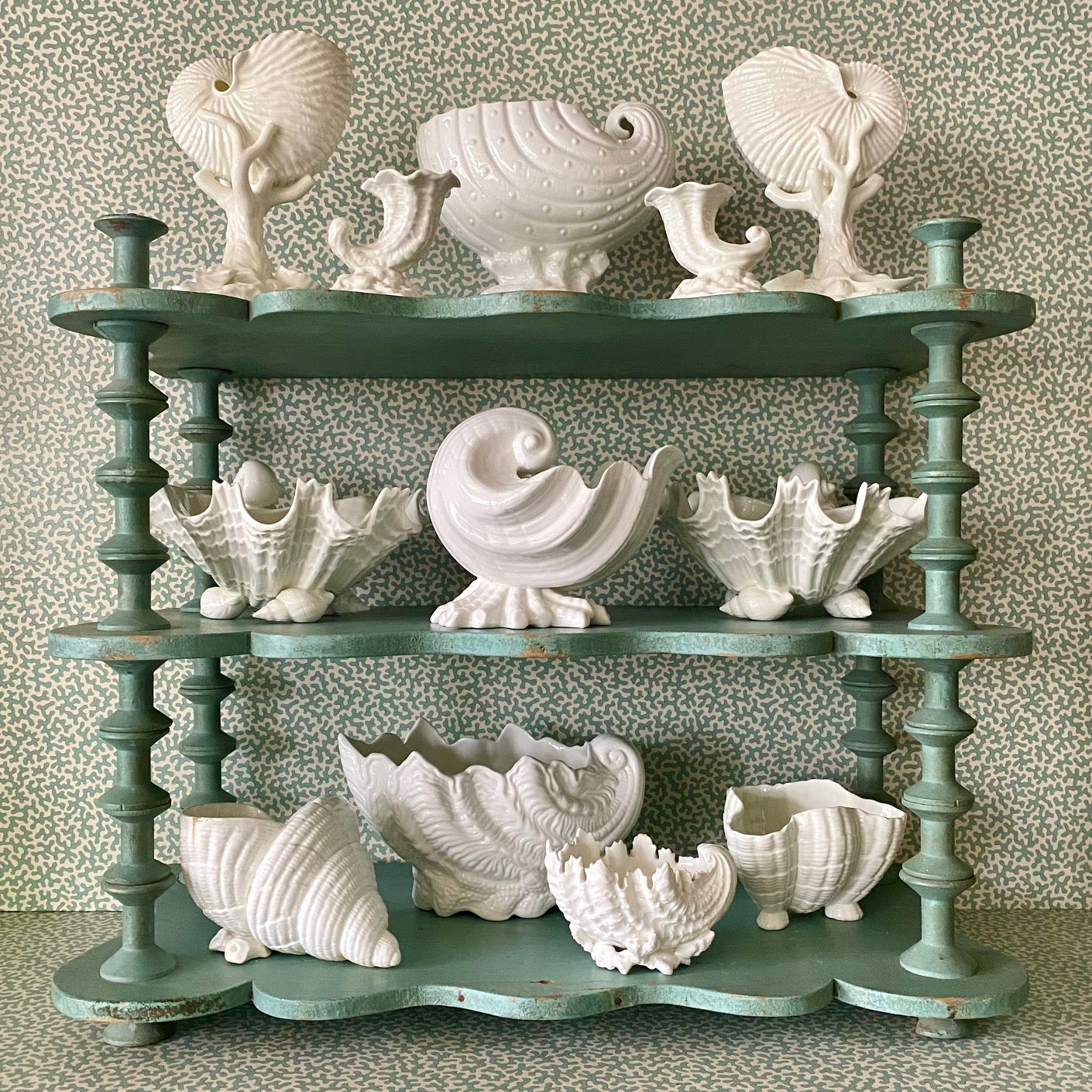 Collection of Shells