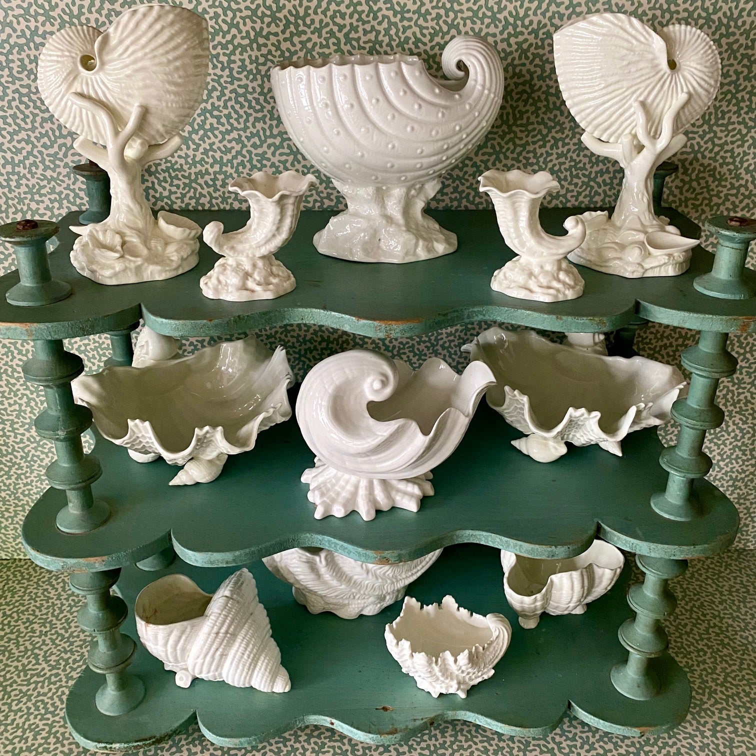 Collection of Shells