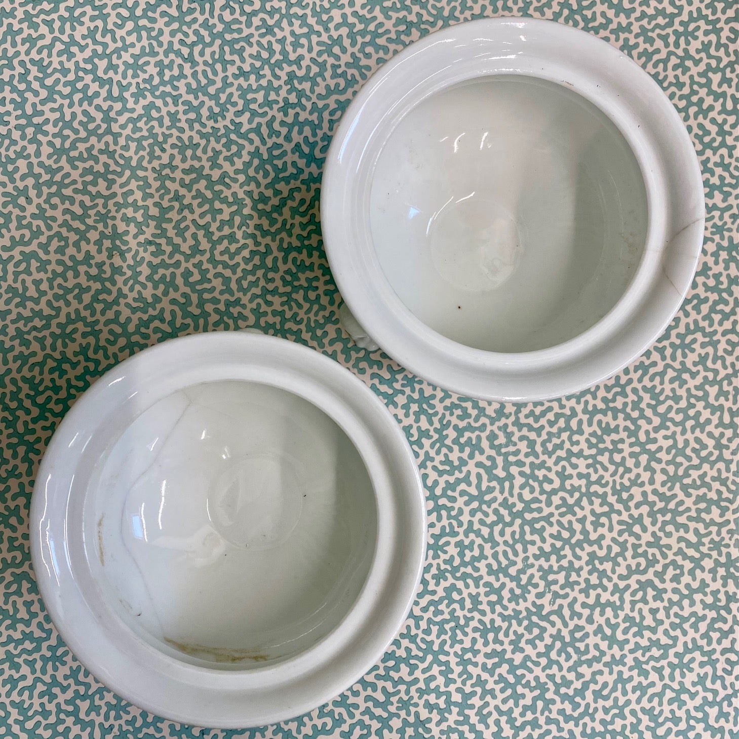 Pair Pedestal Bulb Planters T20