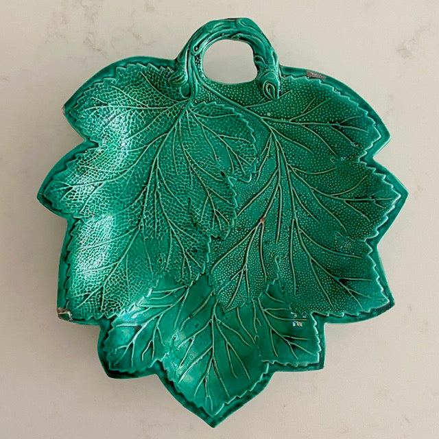 Bluey Green Leaf Display
