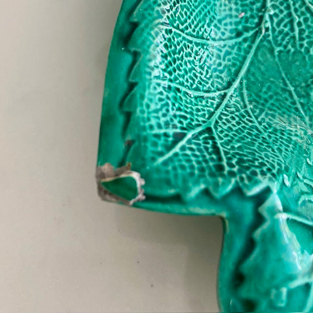 Bluey Green Leaf Display