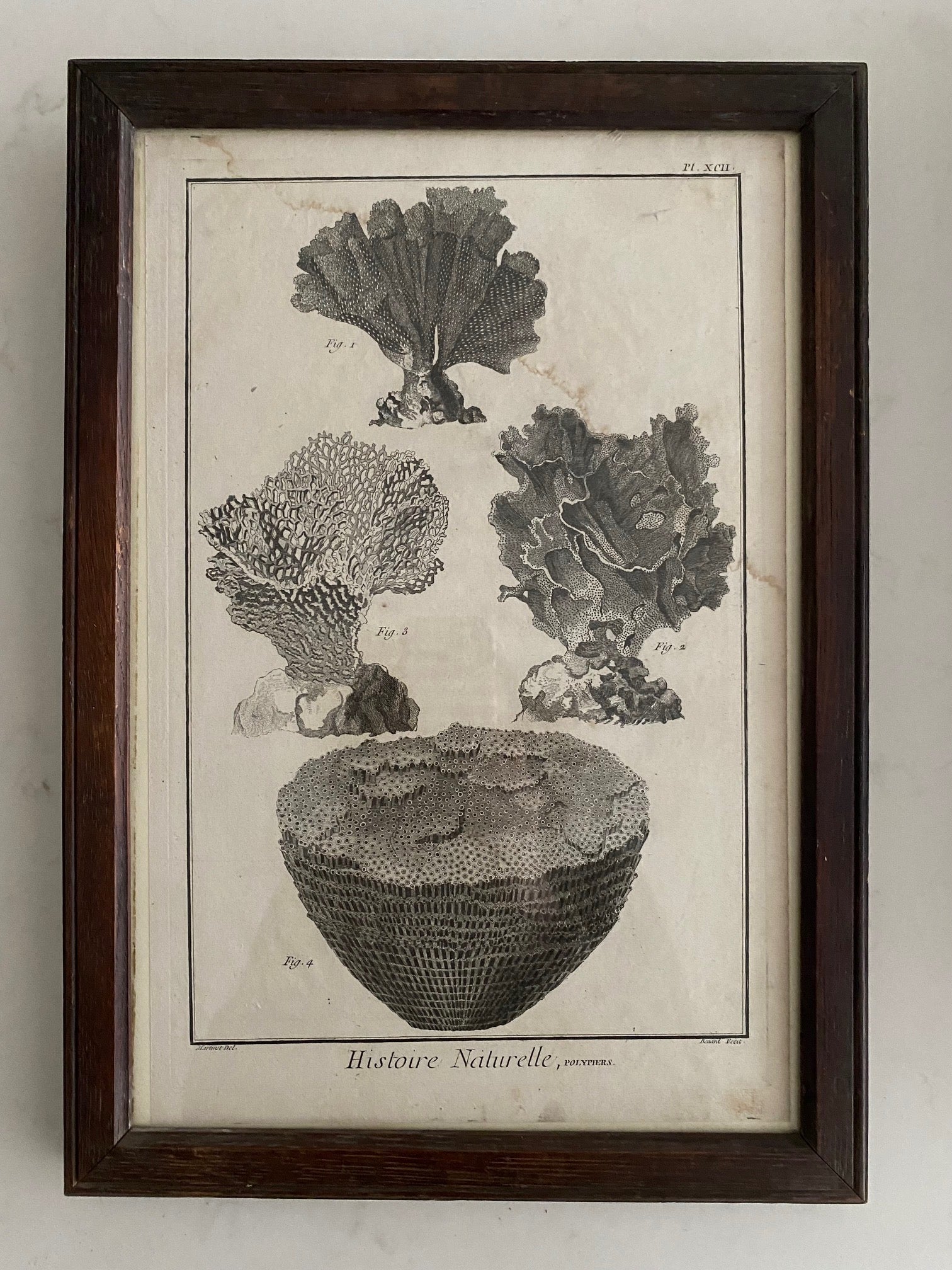 SET 6 ANTIQUE FRENCH CORAL ETCHINGS