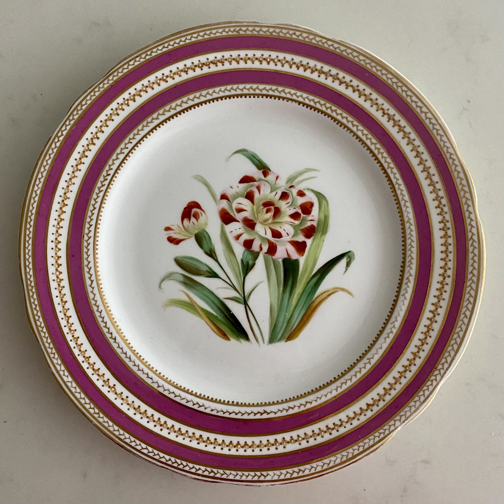 K96 SET 11 ANTIQUE PINK & GILT RIMMED HAND PAINTED FLOWER PLATES