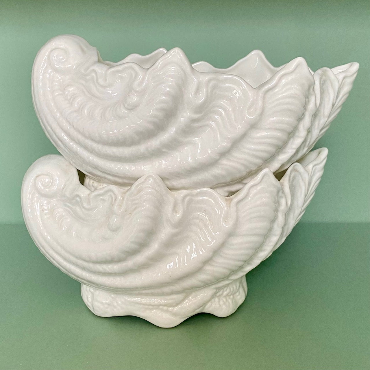 Collection of White Porcelain Shells on French Wooden Hanging Shelves H180