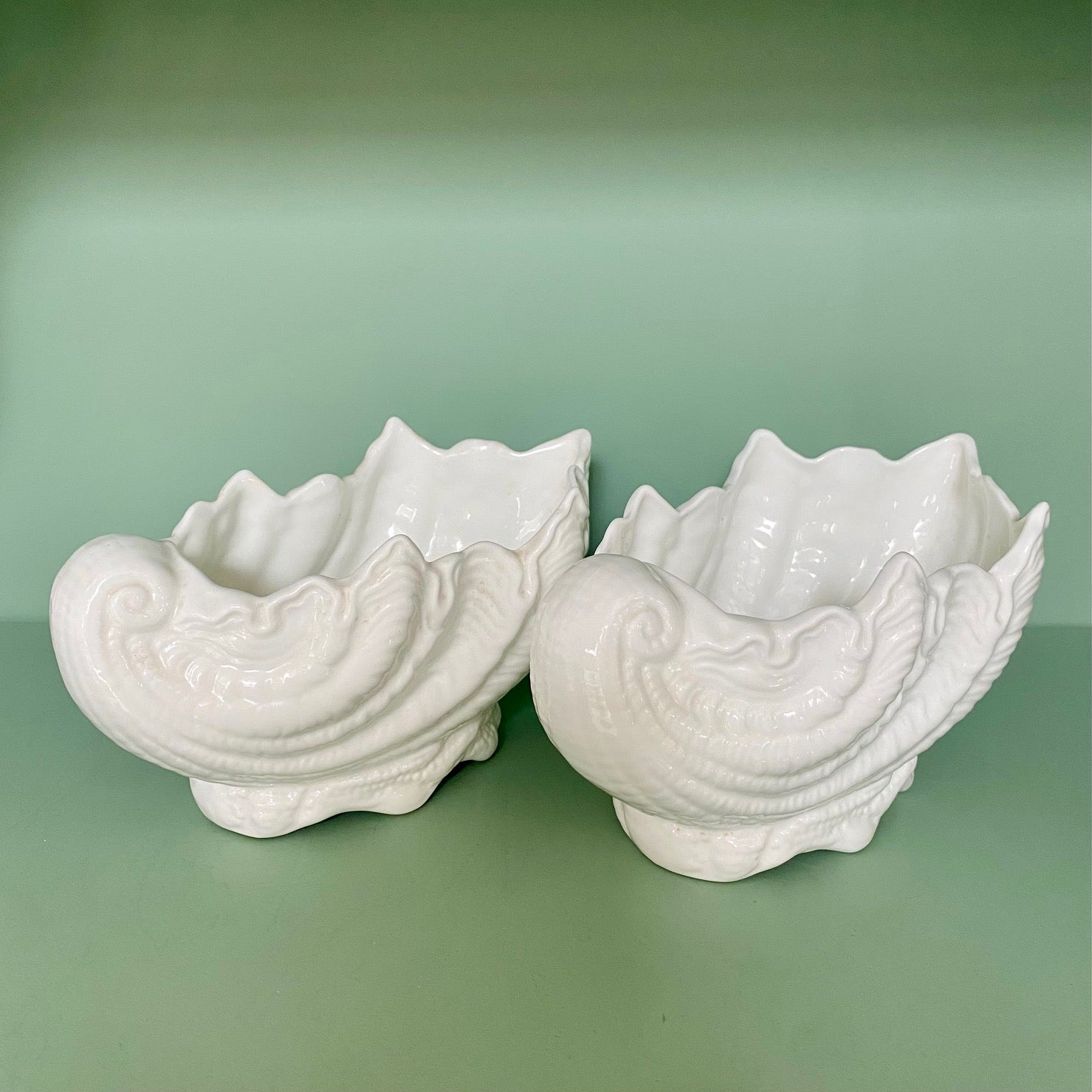 Collection of White Porcelain Shells on French Wooden Hanging Shelves H180