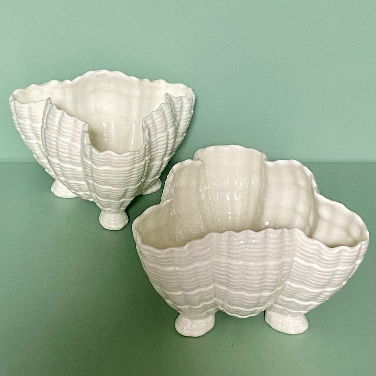 Collection of White Porcelain Shells on French Wooden Hanging Shelves H180