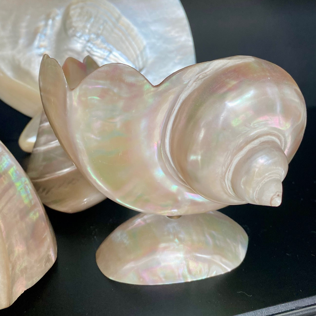 Collection of Mother of Pearl Shells V68