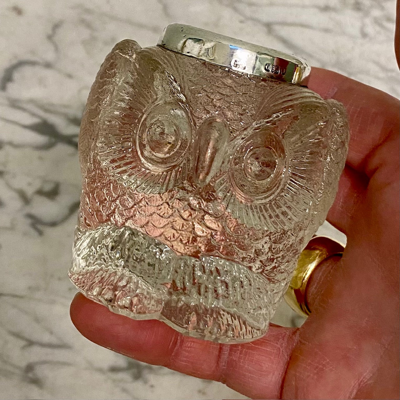 Gorgeous Owl Match Striker