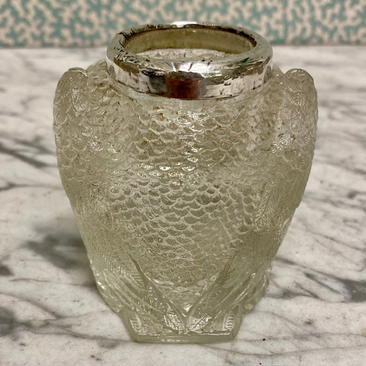 Gorgeous Owl Match Striker