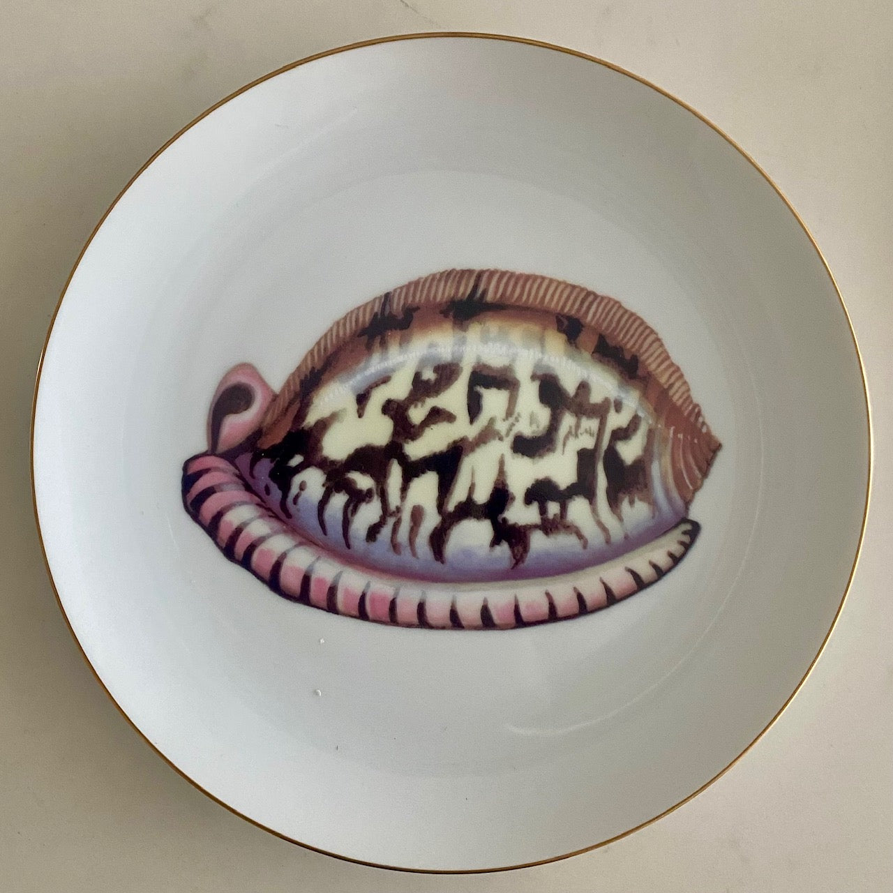 Set 20 Fitz & Floyd Du Mer Seashell Pattern Porcelain Side Plates F183