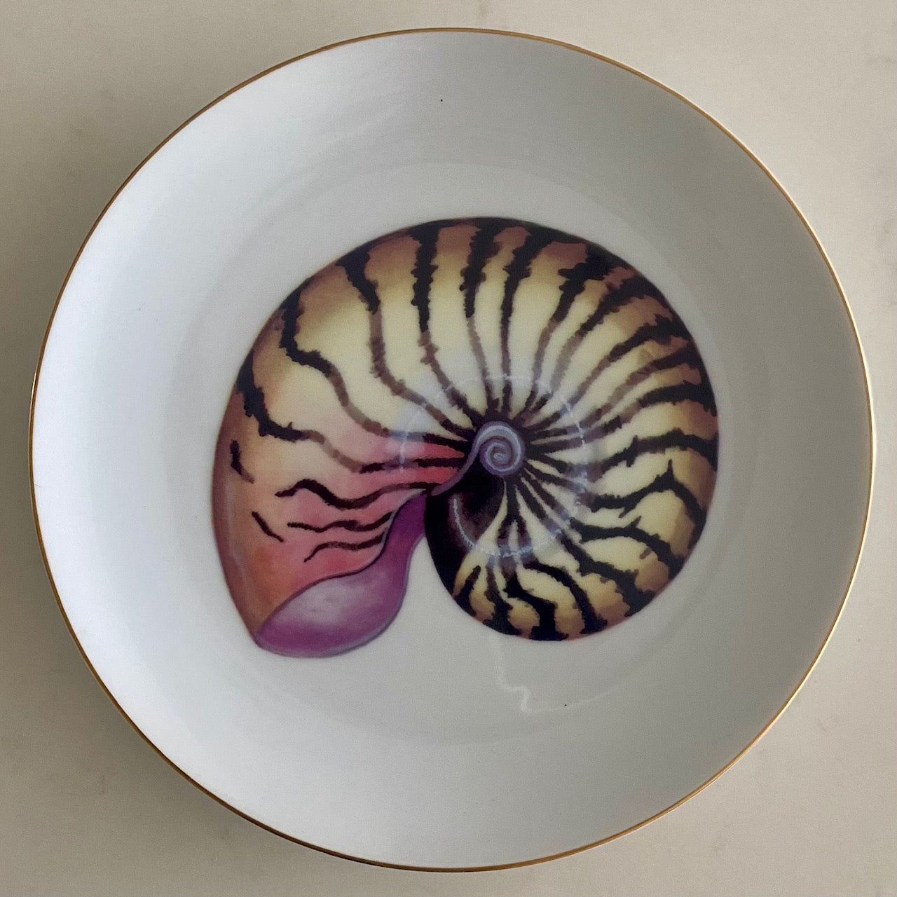 Set 20 Fitz & Floyd Du Mer Seashell Pattern Porcelain Side Plates F183