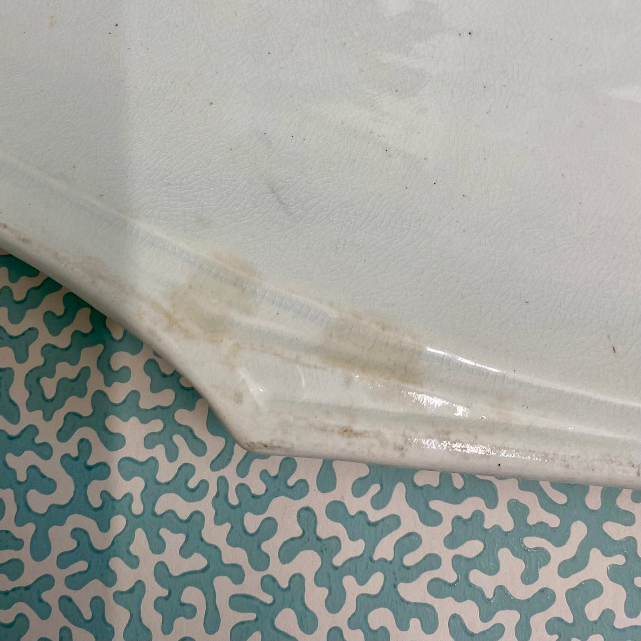 LARGE Rare Fish Platter  C199