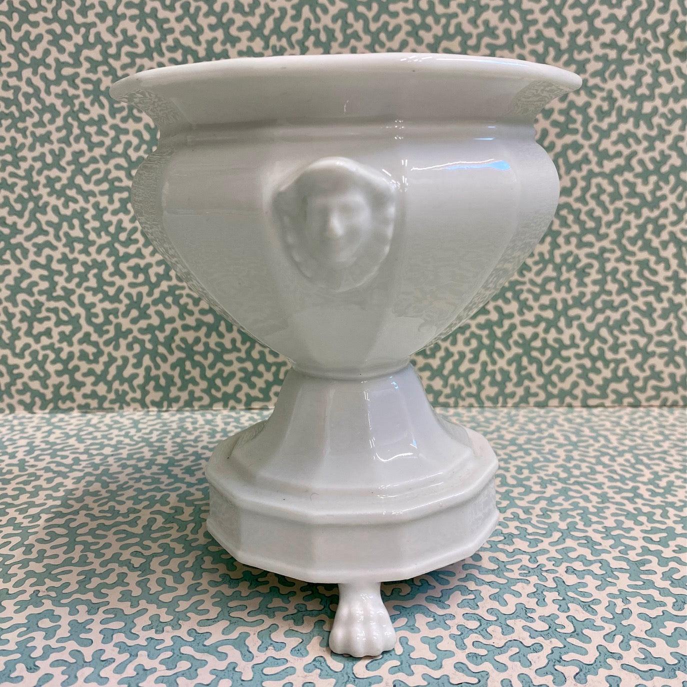 French Bulb Planter with Pedestal Base on Lion's Paw Feet  S89