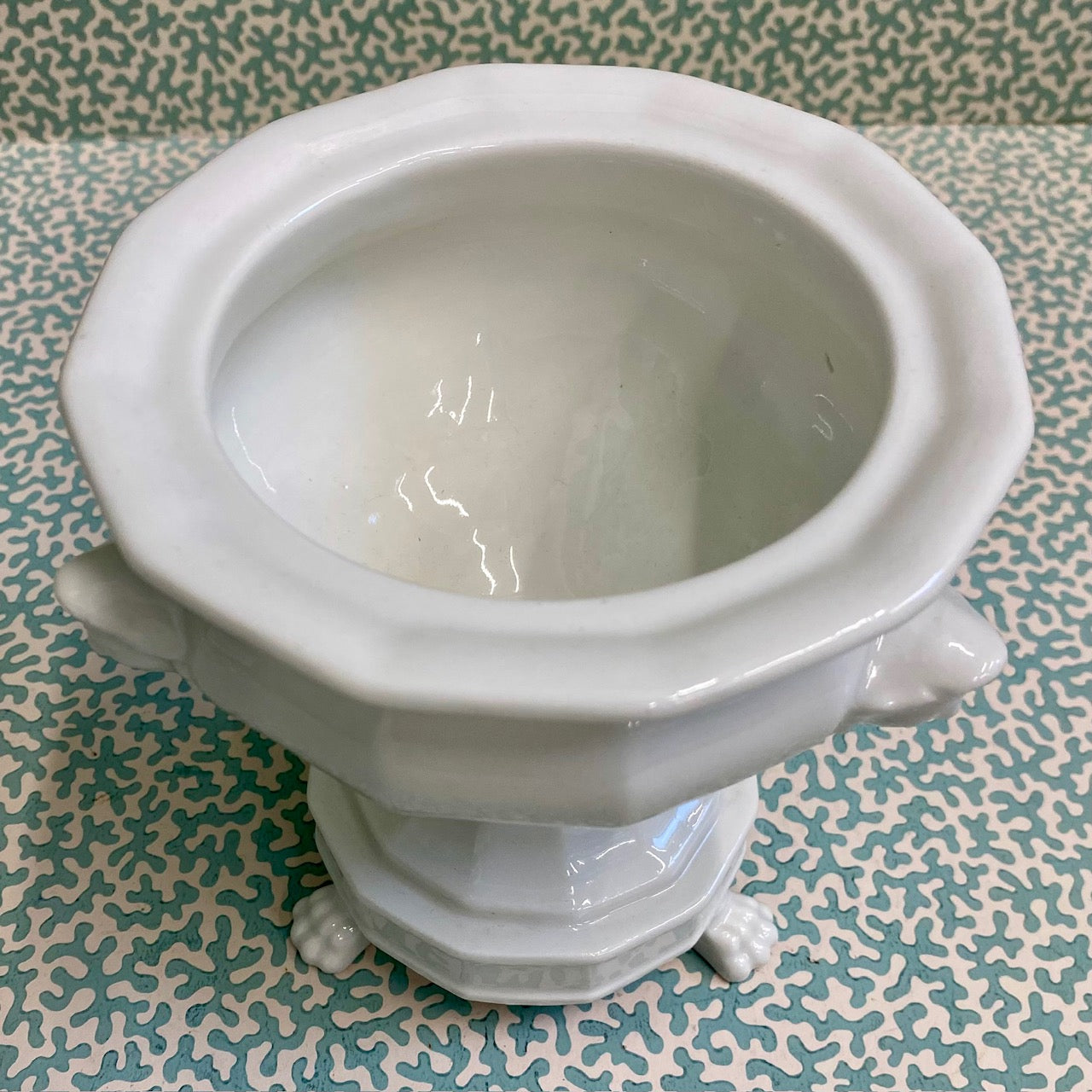 French Bulb Planter with Pedestal Base on Lion's Paw Feet  S89