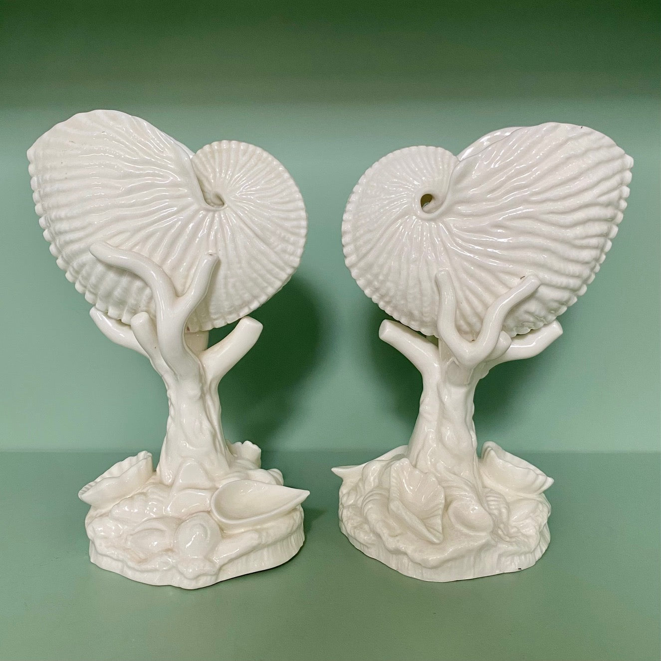 Collection of White Porcelain Shells on French Wooden Hanging Shelves  H180