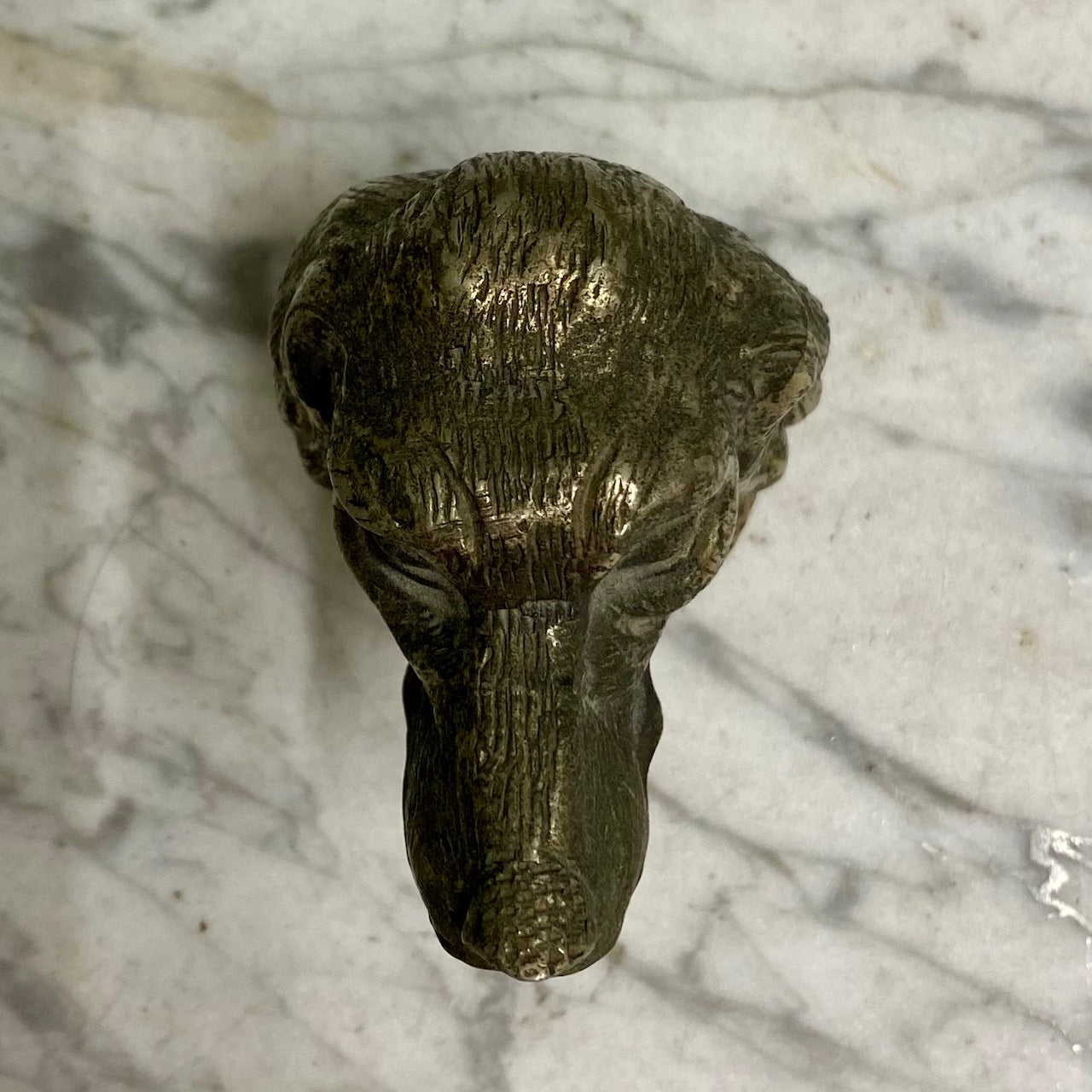 Rare Vintage Dog Head Bottle Opener