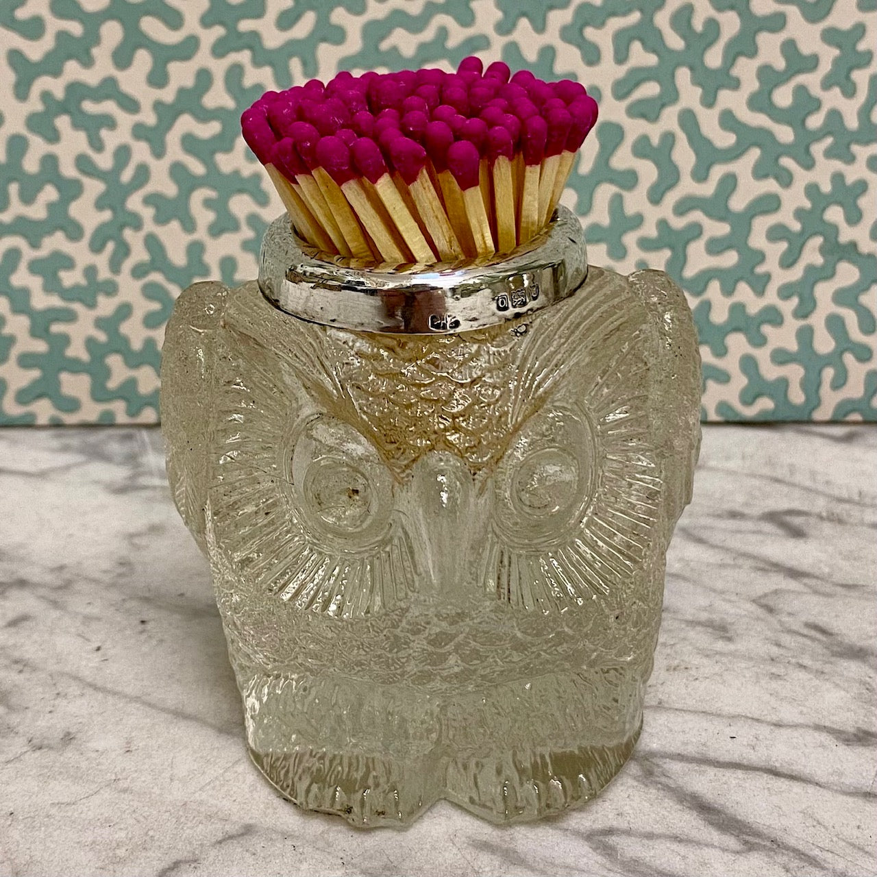 Gorgeous Owl Match Striker