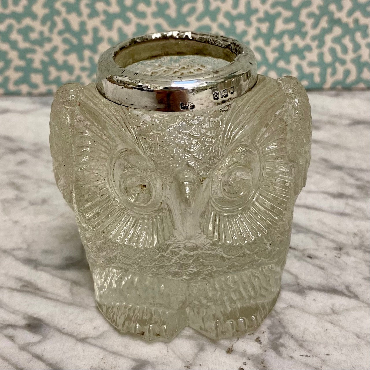 Gorgeous Owl Match Striker