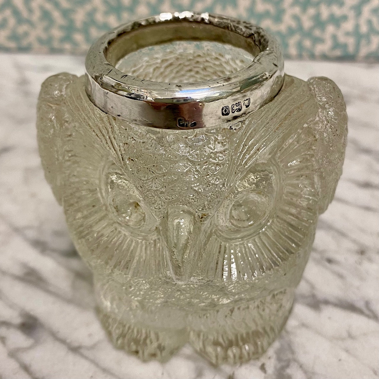 Gorgeous Owl Match Striker